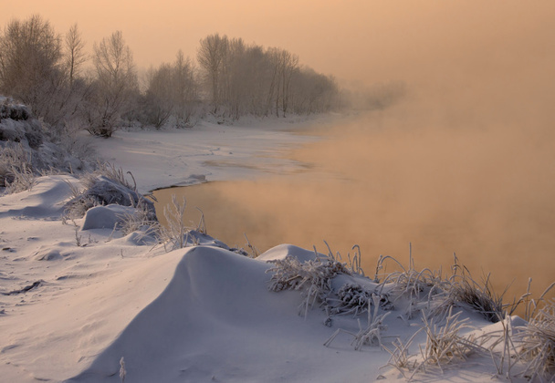 The snow-covered grass and trees on the river bank - Fotografie, Obrázek