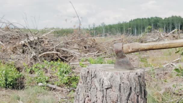 Ontbossing, de bijl op de stomp - Video