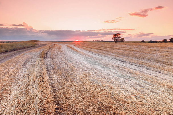 Naplemente Búzamező betakarítás után, mint a vörös nap érinti a horizonton át a mező vonalaival és utak. Tónusú fénykép. - Fotó, kép