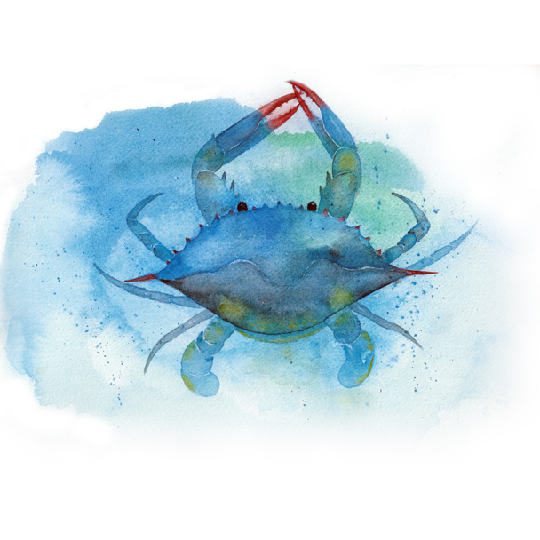 Aquarell blaue Krabbe unter Wasser - Foto, Bild