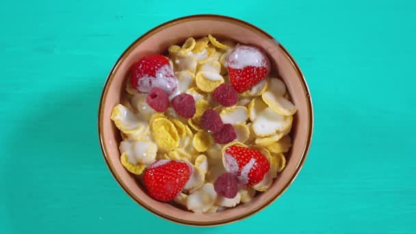 Προσθήκη rasberries στο μπολ - Πλάνα, βίντεο