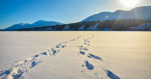 Foot prints in the snow across a frozen lake with sun flare and snow covered mountains in the background. A winter mountain landscape in British Columbia, Canada - Fotó, kép