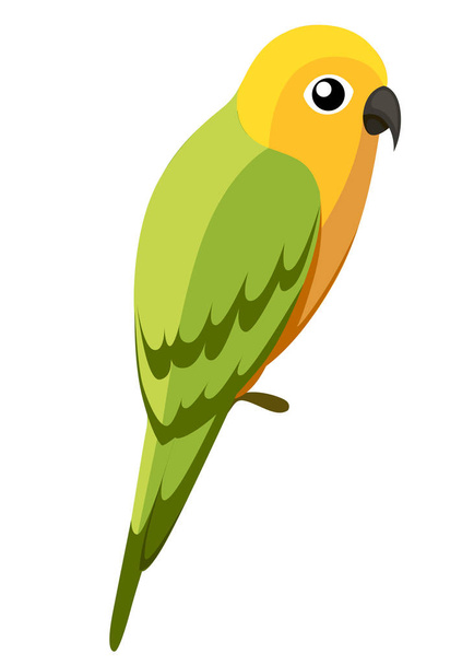 Green parrot bird. Parrot on branch posters, children books illustrating. Tropical bird cartoon style. Isolated on white background. - ベクター画像