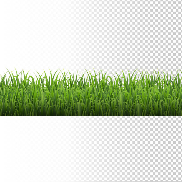 Confine erba verde isolato sfondo trasparente, illustrazione vettoriale - Vettoriali, immagini