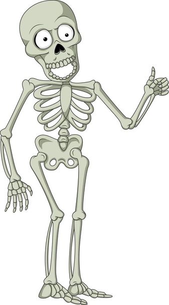 Cartoon skeleton giving thumb up - Vector, Imagen
