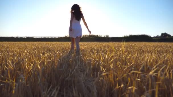 Chica joven con un vestido blanco corriendo en un campo de trigo. Sigue a una mujer irreconocible corriendo en el prado de centeno. Cielo azul con luz solar brillante al fondo. Concepto de libertad. Moción lenta
 - Metraje, vídeo