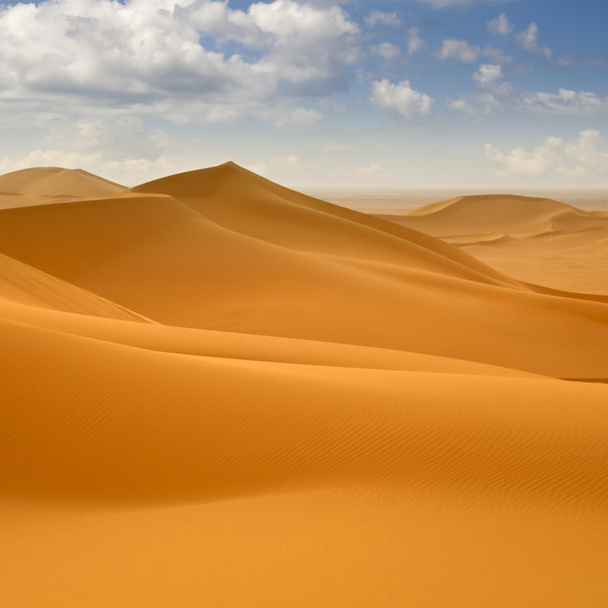 リビア砂漠。密な砂金、砂丘と美しい砂浜 - 写真・画像