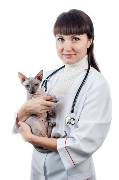 Beautiful veterinarian with cat - Zdjęcie, obraz