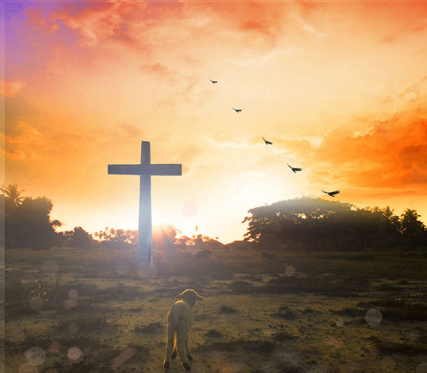 Easter concept:Silhouette cross on Calvary mountain sunset background.  - Photo, Image