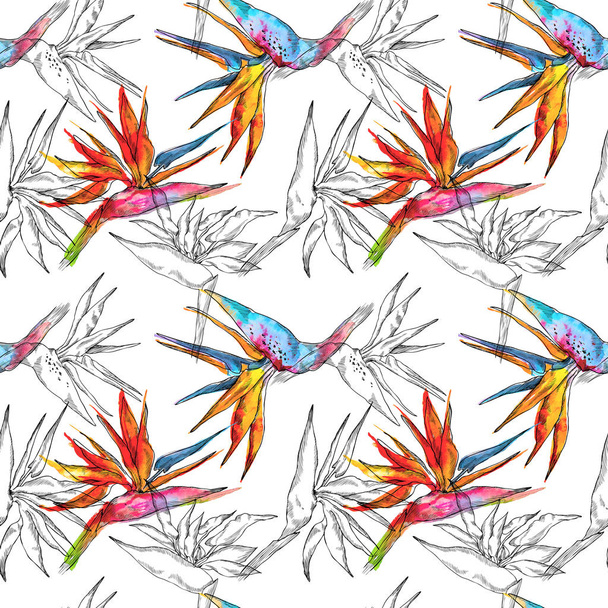 Seamless pattern of strelitzia tropical plant. Watercolor hand drawn flowers and leaves. Design for invitation, wedding or greeting cards, clothes, print. Flower concept. Tropical concept - Photo, image
