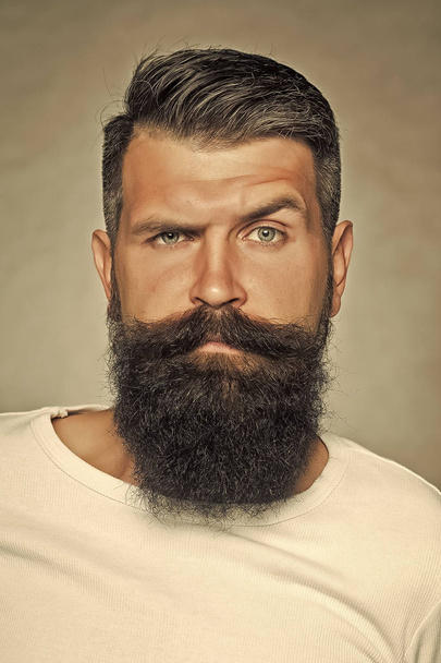 Bearded man in studio - Φωτογραφία, εικόνα