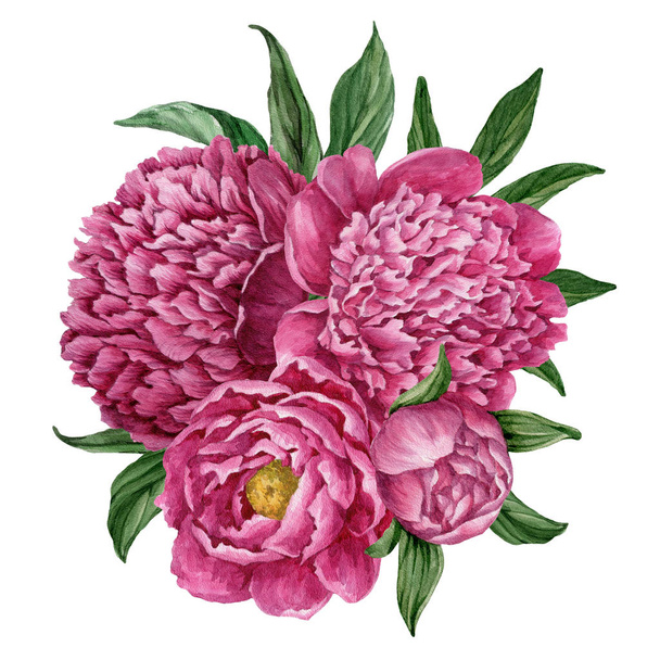 Exquisite and gentle floral bouquet with blooming peonies isolated on white background, watercolor hand-painted design. - Foto, afbeelding