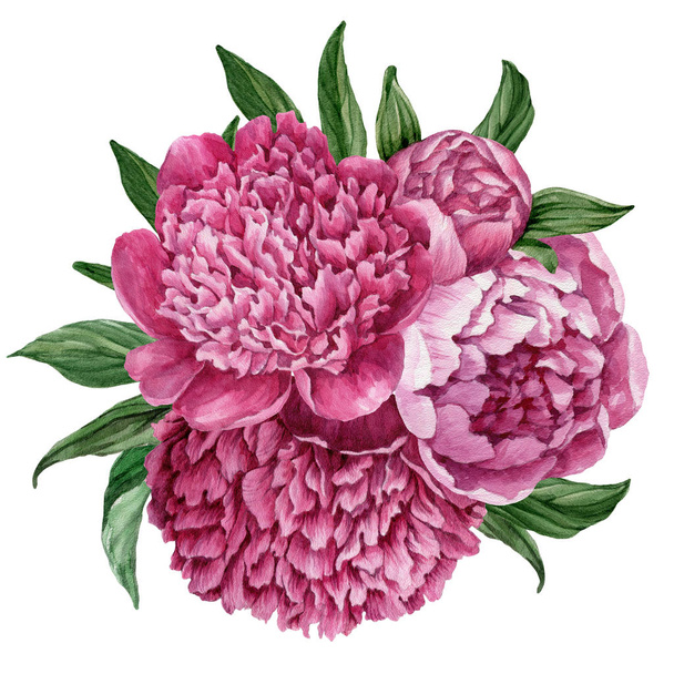 Exquisite and gentle floral bouquet with blooming peonies isolated on white background, watercolor hand-painted design. - Foto, afbeelding