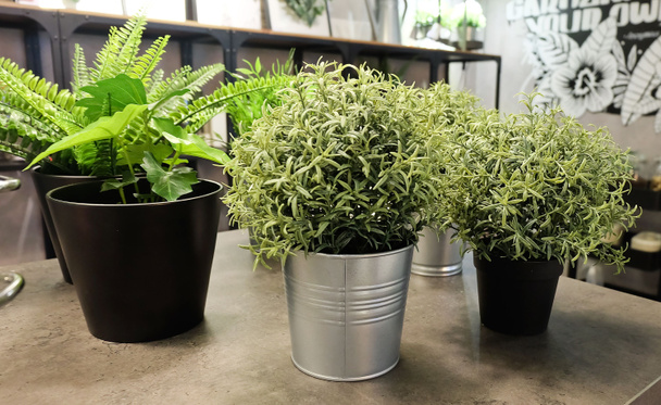 Plantes vertes artificielles dans des pots de fleurs pour la décoration de maison et de bureau sans les soins
. - Photo, image