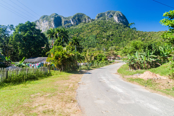 Road in Vinales valley, Cuba - Foto, afbeelding