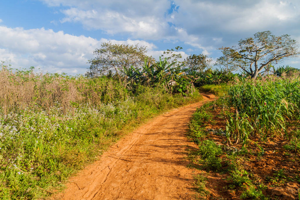 Road across fields in Guasasa valley near Vinales, Cuba - Fotoğraf, Görsel