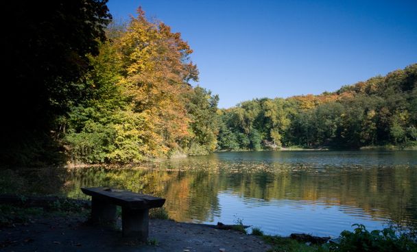 Скамейка у озера - Фото, изображение
