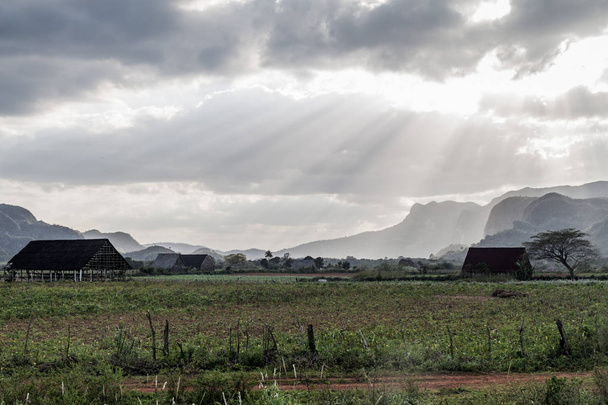 Rural landscape of Guasasa valley near Vinales, Cuba - Photo, image