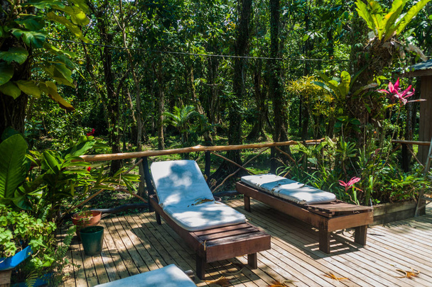 Promenaden in der Dschungel-Lodge, Guatemala - Foto, Bild