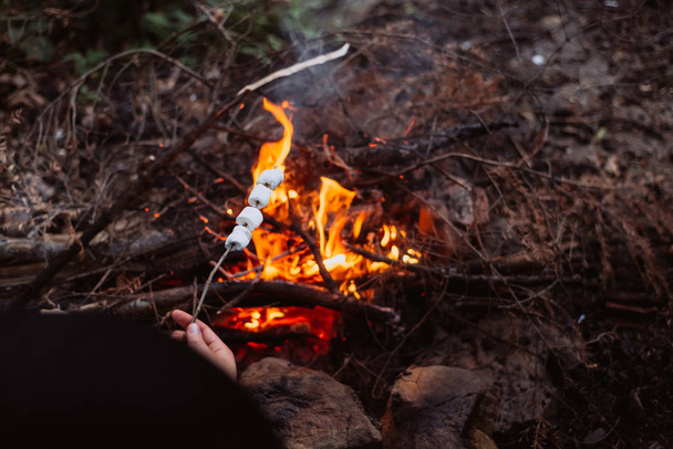 fry marshmallows on fire in the woods - Фото, изображение