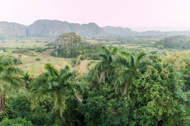 Morning view of Vinales valley with mogote mountains, Cuba - Fotó, kép
