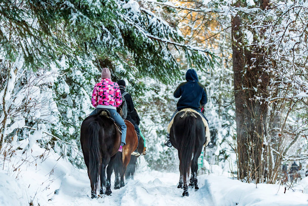 Turistler geri orman görüntülemek kışın ata binmek - Fotoğraf, Görsel
