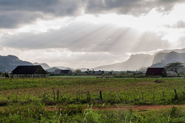 Rural landscape of Guasasa valley near Vinales, Cuba - Фото, изображение