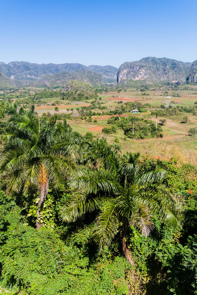 View of Vinales valley, Cuba on background - Foto, afbeelding