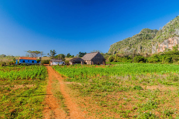 Small settlement in Vinales valley, Cuba - Photo, image