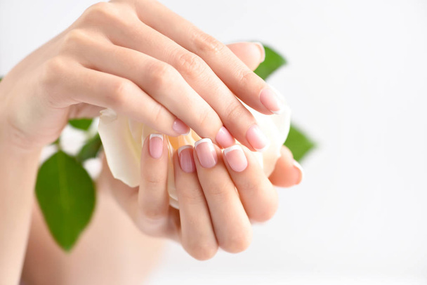 Mani di una donna con bella manicure francese e rosa bianca
 - Foto, immagini
