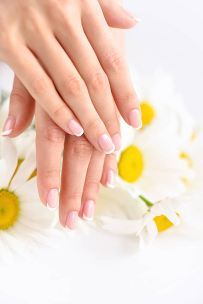 Beautiful woman french manicured hands with fresh daisy flowers  - Photo, Image