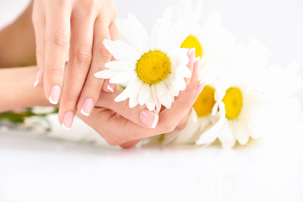 Hermosa mujer francesa manicura manos con flores frescas de margarita  - Foto, imagen