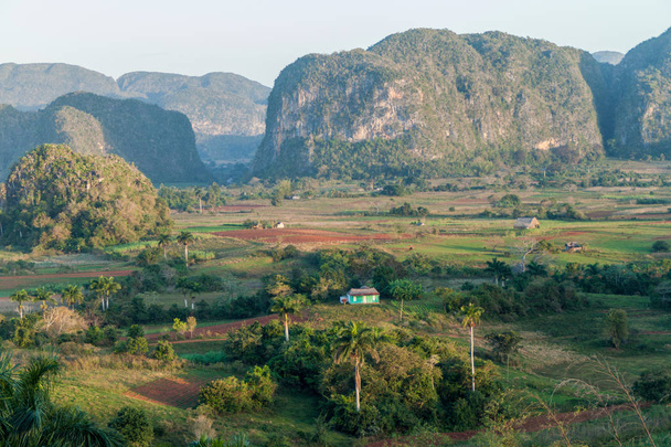 Mogotes (石灰岩の丘)、ビニャーレス渓谷の朝の景色キューバ - 写真・画像