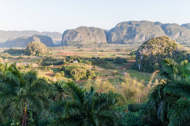 Morning view of Vinales valley with mogotes (limestone hills), Cuba - Φωτογραφία, εικόνα
