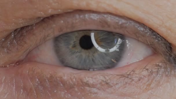 Close-up van blauwe vrouwelijke eye camera kijken. Selectieve aandacht. - Video