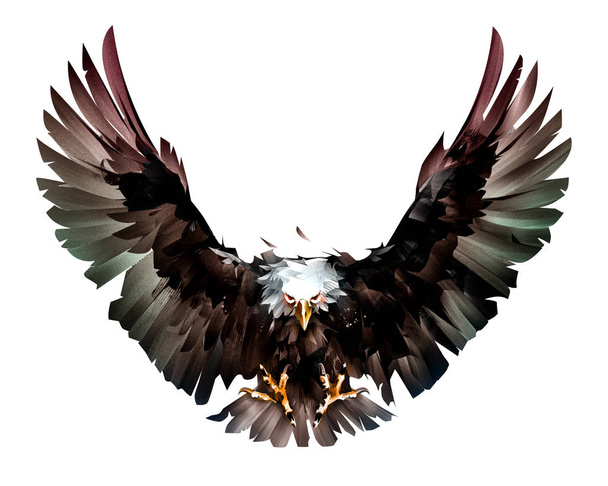 painted flight bird bald eagle in front - Foto, imagen