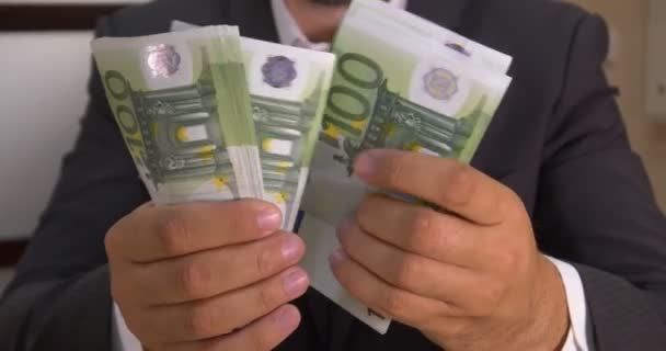 Succesvolle zakenman telt geld - Video