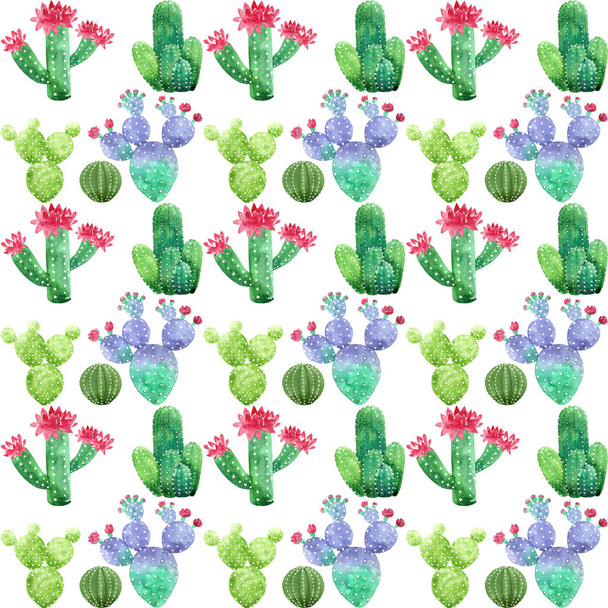 Watercolor Cacti pattern in white background - Photo, Image