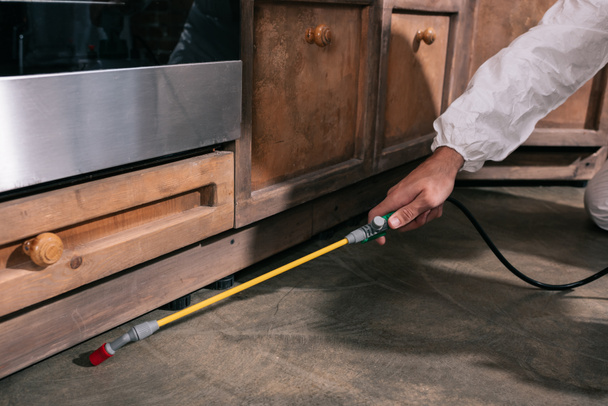 cropped image of pest control worker spraying pesticides under cabinet in kitchen - Photo, Image