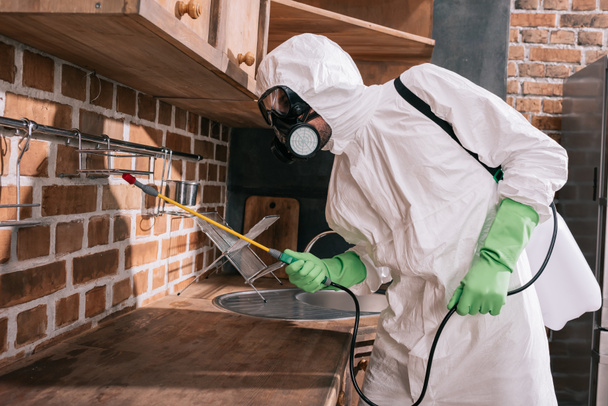 visão lateral do trabalhador de controle de pragas pulverizando pesticidas em prateleiras na cozinha
 - Foto, Imagem