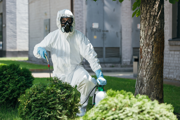trabajador de control de plagas en productos químicos uniformes de pulverización en arbustos
   - Foto, Imagen