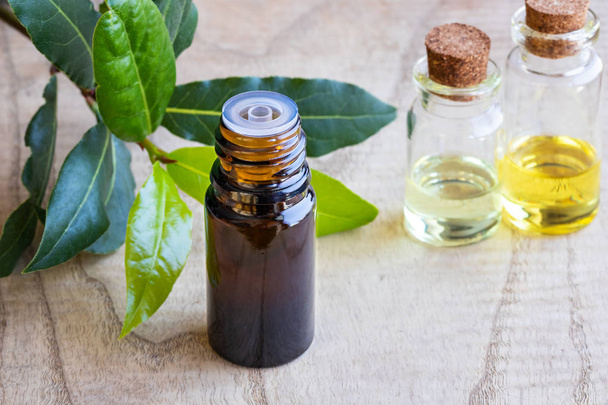 Uma garrafa de óleo essencial com folhas frescas de louro sobre fundo branco
 - Foto, Imagem