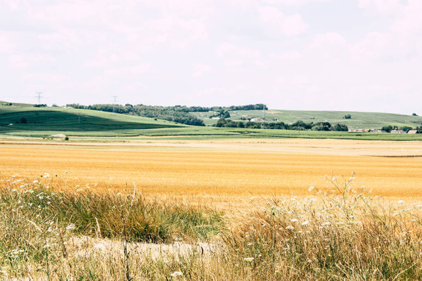 View of the landscape near Reims in France - Фото, зображення