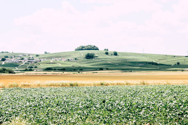View of the landscape near Reims in France - Φωτογραφία, εικόνα