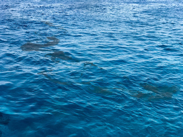 die Textur des blauen natürlichen Meeres aus schönem azurblauem Salzwasser, das mit ölverschmutzten Ölflecken verseucht ist, Pfützen von Öl, Schlamm. der Hintergrund. - Foto, Bild