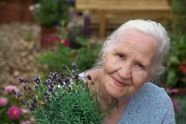 Belle femme âgée tenant la lavande Fleurs dans le jardin
 - Photo, image