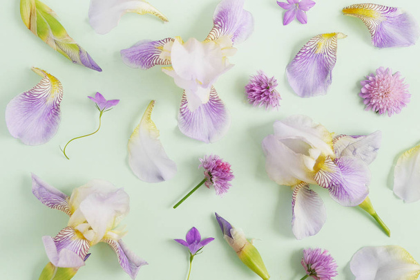 Orchids with clover and bells on pale green background - Foto, afbeelding