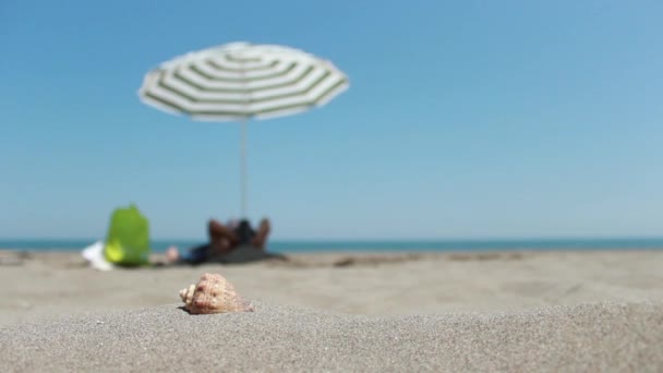 Sun umbrellas on beach - Footage, Video