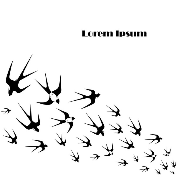 Fekete-fehér háttérben repülő fecske Lorem ipsum stock vektor illusztráció design elem - Vektor, kép