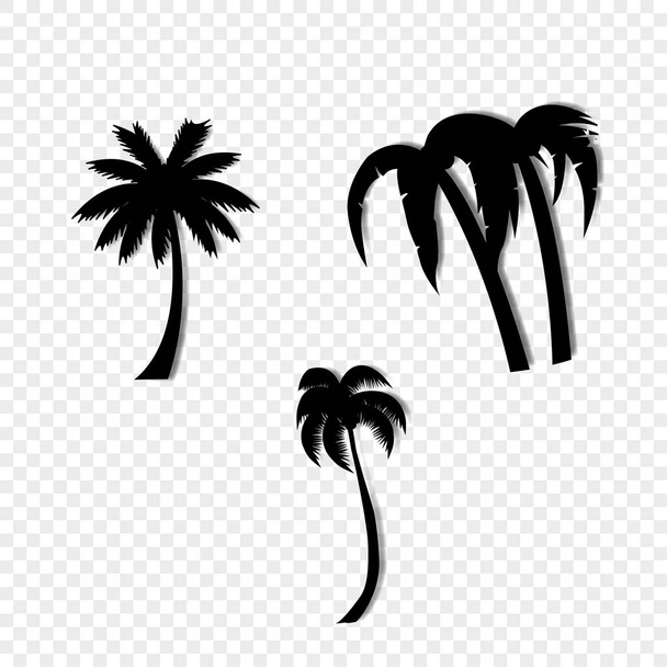 Vektorové ilustrace černá silueta palm stromy ikony nastavit izolované na průhledném pozadí. - Vektor, obrázek